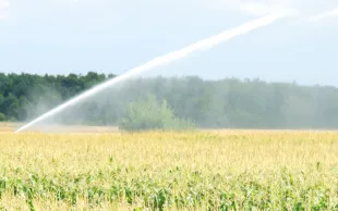 Dans les scénarios d’adaptation retenus, l’irrigation est la clé de la diversification des productions comme du maintien de la production fourragère. Mais quelle sera la ressource en eau en 2040-2060 ?