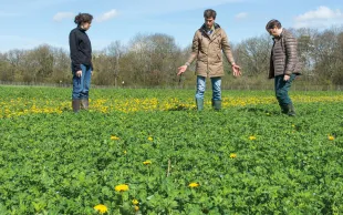 La valeur des terres agricoles établie dans le cadre d’une donation-partage doit faire l’objet de discussion entre tous les membres de la famille, y compris ceux qui n’ont pas d’activité agricole. © Arvalis / N.Cornec