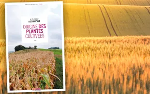 L’Origine des plantes cultivées se révèle être une enquête captivante sur l’origine des espèces qui composent les rotations agricoles et nos assiettes.