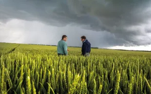 Deux personnes dans un champ de blé