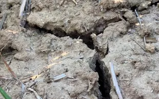 Crevasse terre végétale due à la sécheresse