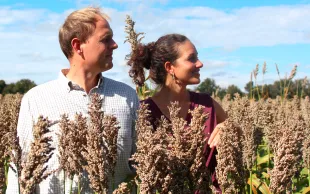 Les agriculteurs innovent : nouvelles cultures, énergie verte et pratiques durables se multiplient.