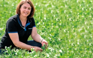 Valérie Leguereau a intégré le sorgho dans sa rotation en 2019.