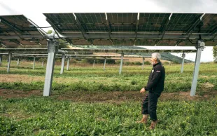 La diversification peut soutenir le chiffre d’affaires