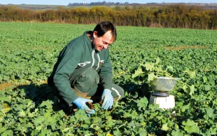 La fertilisation azotée de printemps du colza se prévoit dès le mois de novembre !