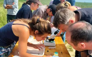 Dans le cadre du projet Concerto*, Terres Inovia accompagne un groupe d’agriculteurs bourguignons dans la gestion des ravageurs avec moins d’insecticides.