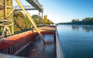 En euros constants, les prix de vente des céréales de la dernière campagne placent 2025 derrière 2006 et 2009. 