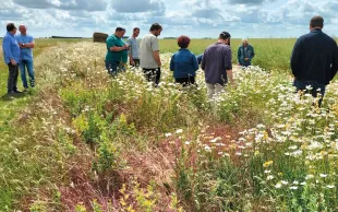 © N. Cerrutti - Terres Inovia