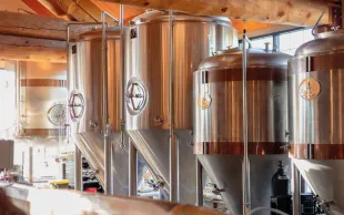 La culture des orges de printemps en France a pour vocation quasi exclusive la production de malt. Il est fortement recommandé de cultiver les variétés pour lesquelles les organismes de collecte locaux ont un marché.