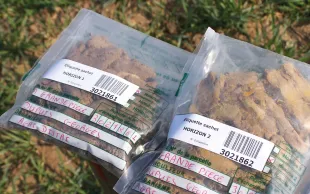 Les échantillons de terre doivent etre envoyés au laboratoire sous 24 heures après prélèvement : éviter les fins de semaine.