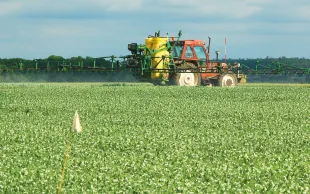 Pulvérisateur dans une parcelle de jeunes légumineuses. Ne pas se précipiter pour intervenir sur les pucerons avant d’avoir apprécié le risque d’une évolution défavorable.