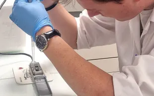 Un ingénier introduit une solution contenant des souches de septoriose dans le séquenceur MinION