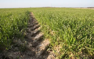 La fertilisation minérale a un impact sur l'augmentation du stock de C des sols mais celui-ci reste inférieur aux apports directs d'amendements organiques.