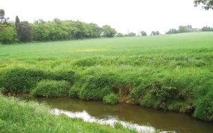 Lors de sa séance de décembre, la commission des aides de l’AESN a examiné 527 projets, finalisé le soutien aux projets engagés en 2025 et préparé les premières décisions d’aides pour 2026.