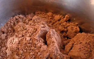 La poudre obtenue à partir de graines fermentées de féverole ressemble à s'y méprendre à du cacao.