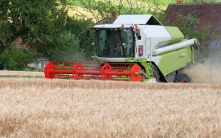 Moissonneuse-batteuse récoltant une parcelle de blé.