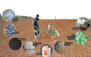 Les 8 produits de stimulation de l’activité biologique du sol testés par Arvalis : poudre de basalte, biochar, lombricompost, micro-organismes, Nutrigeo, litière forestière fermentée, extraits fermentés d'ortie et de consoude, thé de compost
