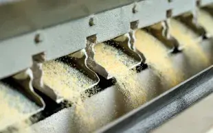 Malgré la baisse du coût du blé et de l’énergie, la performance économique du secteur reste dégradée.