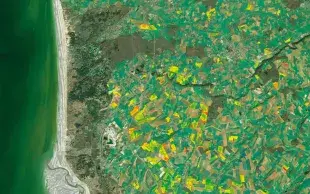 Image satellite de parcelles agricoles fournie par Airbus et traitée par Airbus-Farmstar.