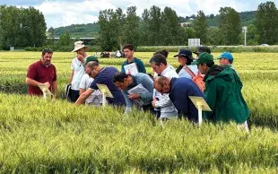 Les trois nouveautés au Catalogue présentent des profils agronomiques intéressants.