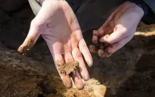 Un agronome examine la structure d'une poignée de terre