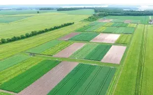 Les travaux de Syppre confirment qu’il n’existe pas de système unique : la multiperformance repose sur l’adaptation des pratiques aux réalités de chaque exploitation.