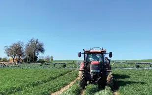 Les engrais foliaires n’apportent pas une efficacité supérieure par rapport à l’ammonitrate, même en conditions sèches