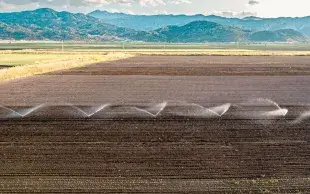 Entre smart farming et constitution de stocks stratégiques, Ankara renforce la résilience de son agriculture face aux crises.