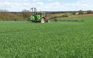 Le type de buse et le volume de bouillie n’impactent pas l’efficacité des applications fongicides.