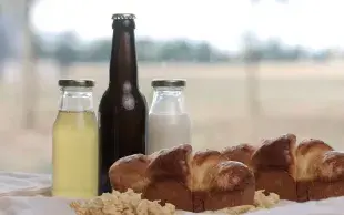 Boissons fermentées, brioche et tempeh produits dans le cadre du projet FERMAVAL