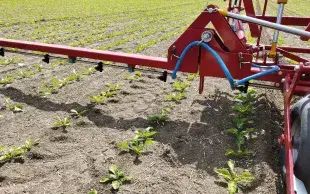 La pulvérisation localisée requiert un semis en précision RTK, le recours au même autoguidage au semis et à la pulvérisation, ainsi qu’un centrage rigoureux du semoir et du pulvérisateur par rapport à l’antenne du tracteur.