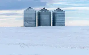 En Finlande, les réserves de céréales sont capables de nourrir la population et le bétail pendant six mois.