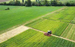 Les essais ont permis d’évaluer la faisabilité et les conséquences des couverts permanents sur les cultures et les sols en agriculture biologique. 
