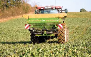 La fertilisation azotée en végétation à l’automne est désormais possible sous conditions.