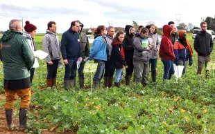 Visite d’une plateforme d’essais organisée par Terres Inovia à Guichainville (27).