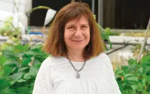 Portrait de la chercheuse argentine Raquel L. Chan.