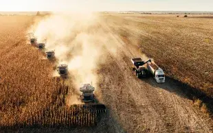 Les agro-holding ukrainiennes exploitent d’immenses surfaces; ils bénéficient de coûts de production extrêmement compétitifs par rapport aux agriculteurs européens.