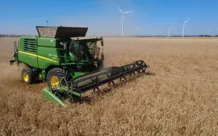 Moisson de blé tendre, juillet 2026.