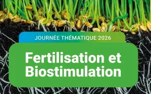 La biostimulation s’affirme comme un levier clé des transitions agricoles. Pour en comprendre les bases scientifiques, les méthodes d’évaluation et les bénéfices, le COMIFER organise à Bordeaux, les 18 et 19 novembre 2026, deux demi-journées d’échanges et de débats.