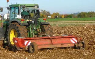 Dans un champ, un tracteur broie des résidus de maïs avant le semis d'un blé.