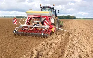 En présence de graminées adventices résistantes, retarder le chantier de quelques semaines constitue un levier agronomique incontournable.