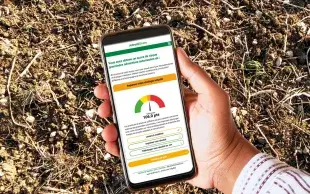 Une main tient un téléphone mobile sur l'écran duquel s'affiche une jauge et un score de points évaluant l’efficacité de sa stratégie de contrôle des graminées adventices automnales.