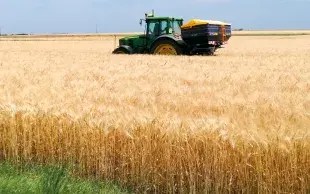 Le projet NutriBudget a passé au crible 19 pratiques de fertilisation qui se développent en Europe afin d’évaluer leur pertinence pour limiter les pertes de nutriments et réduire la pollution environnementale.