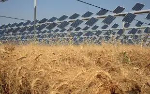 agrivoltaisme