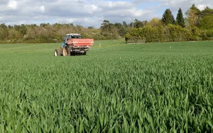 Blés améliorants : les besoins unitaires