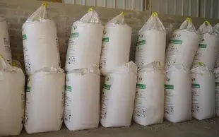 big bags