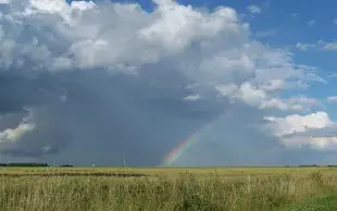 article météo