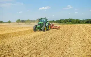 semis direct d’un couvert dans des chaumes