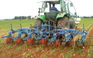Faut-il désherber le maïs en mixant herbicide et binage, tout chimique, ou tout binage?