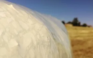 Evaluation du liage des balles par film plastique